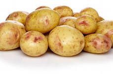 Сорт картофеля Инноватор